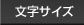 Fontsize