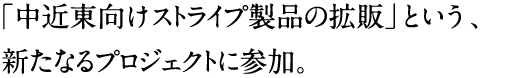 「中近東向けストライプ製品の拡販」という、新たなるプロジェクトに参加。